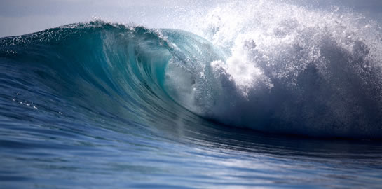 Wave